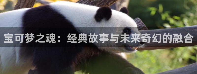 樱花漫画免费漫画在线看：宝可梦之魂：经典故事与未来奇幻的融合