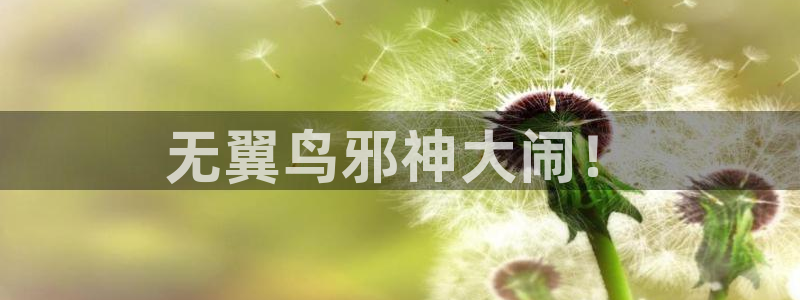 想要成为影之实力者樱花漫画：无翼鸟邪神大闹！