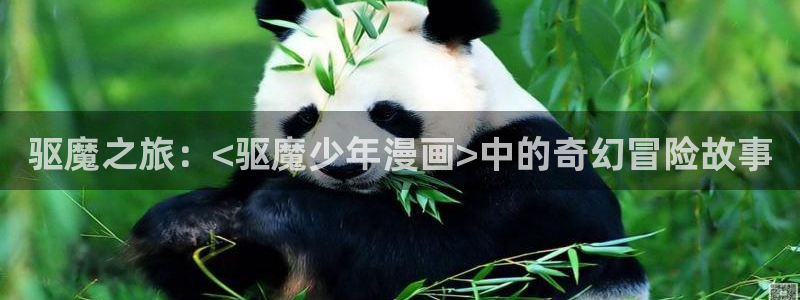 樱花漫画网页版：驱魔之旅：<驱魔少年漫画>中的奇幻冒险故事